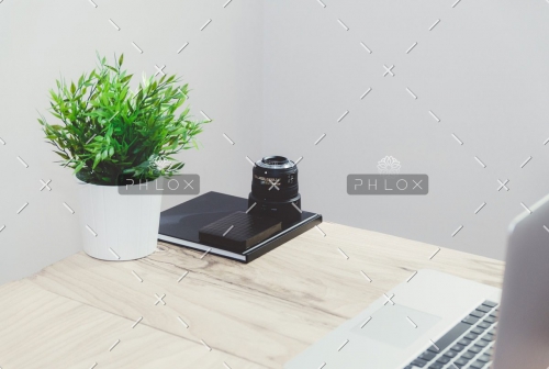 photo-1438302439441-82e18f791f5e